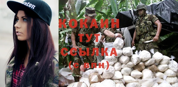 не бодяженный Алексин