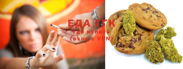 эйфоретик Аркадак