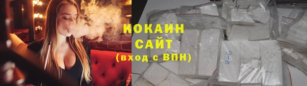 не бодяженный Алексин