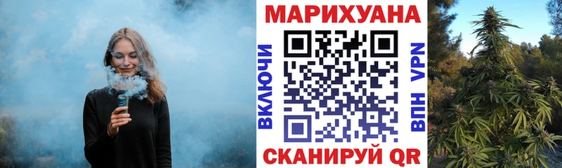 Конопля OG Kush  дарнет шоп  Новороссийск 